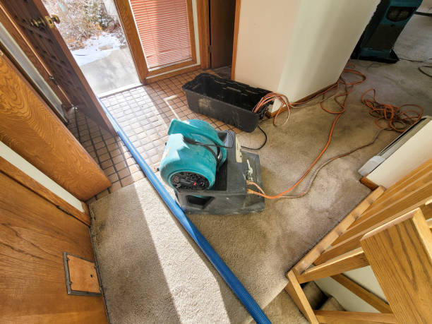 Best Local water damage restoration  in Woodbourne, PA