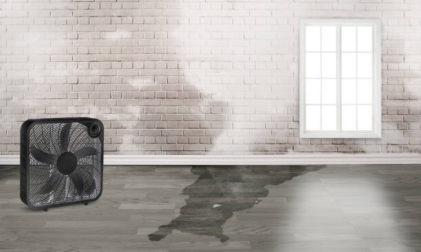 Best Professional water damage repair  in Woodbourne, PA