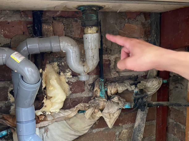 Best Water damage restoration mold remediation  in Woodbourne, PA